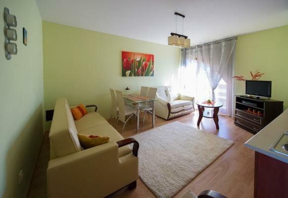 Appartement Panorama Koscielisko à Zakopane Extérieur photo