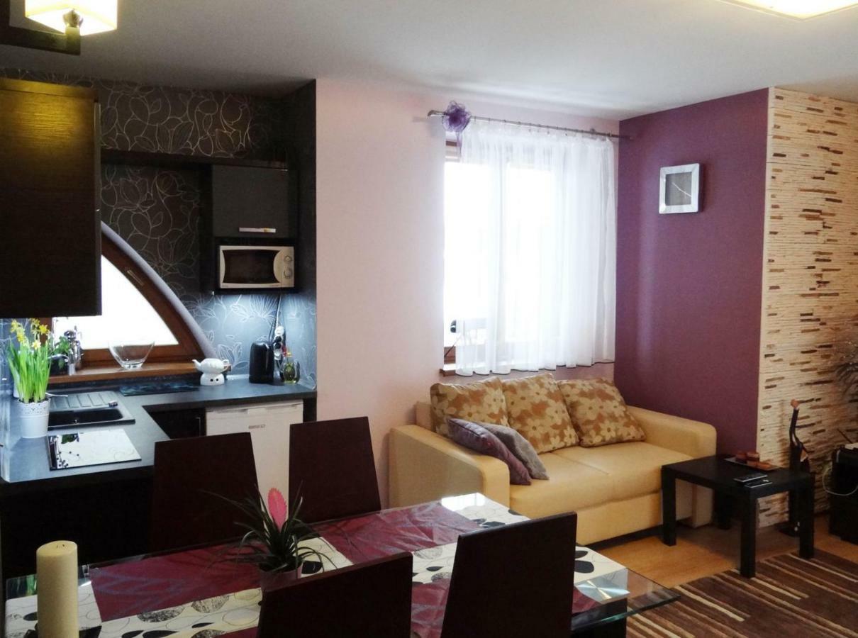 Appartement Panorama Koscielisko à Zakopane Extérieur photo